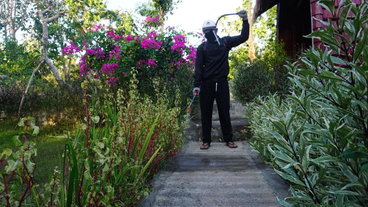Bougainvillea Bungalow Batumadeg Kültér fotó